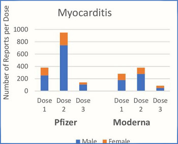 Myocarditis